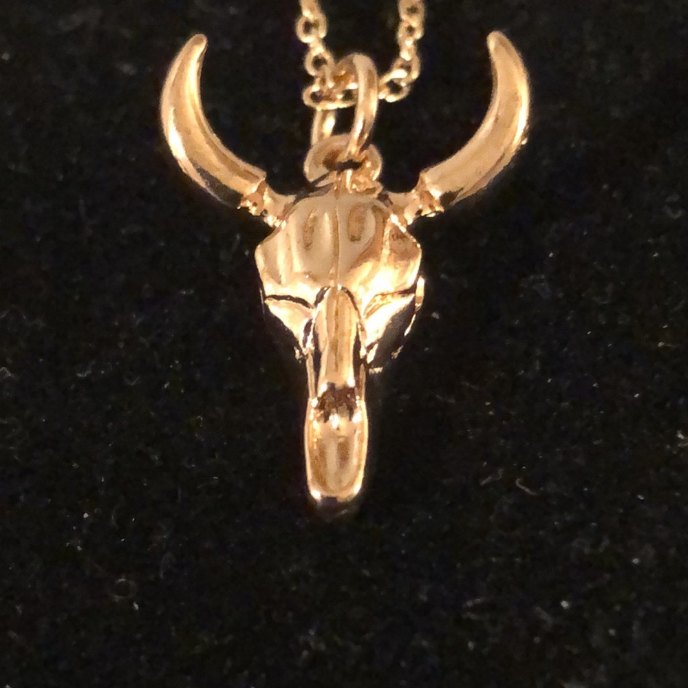 - Western Skull Necklace/Pendant